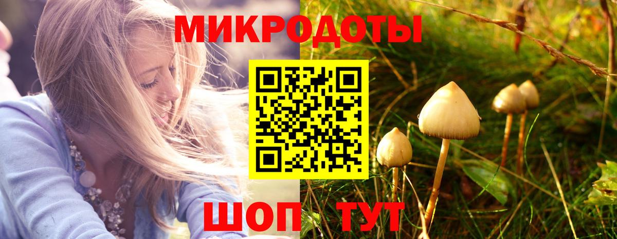 Псилоцибиновые грибы ЛСД  Вход с VPN  Псилоцибиновые грибы ЛСД  Назрань 